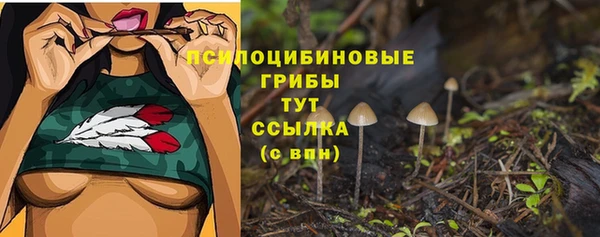 наркотики Инсар