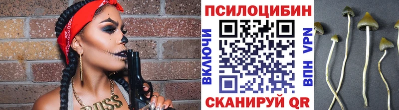 Купить закладки  Николаевск  Псилоцибиновые грибы прущие грибы 